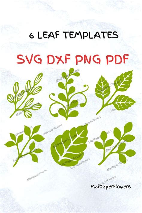 Six Leaf Templates For Svg Dxf And Png Files With Text