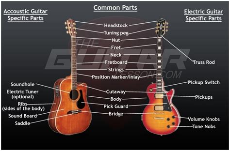 Humbucker, strat, tele, bass and more! Guitar Anatomy - Theguitarlesson intended for Acoustic ...