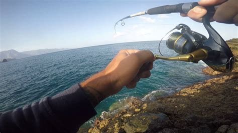 Pesca Spinning Gran Canarias 2016 Jurel De 3 Kilos Youtube