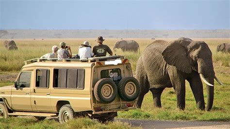 5 Facts About Serengeti National Parks Serengeti National Park