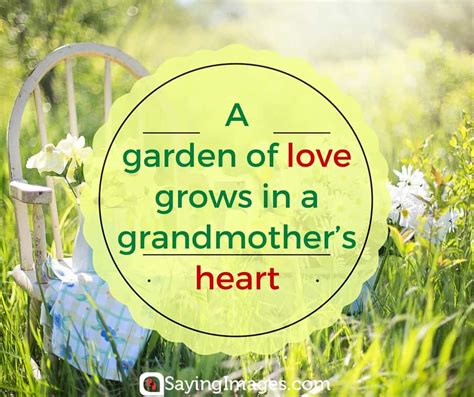 25 Sweet And Funny Grandma Quotes
