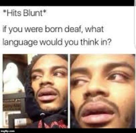 Hit The Blunt Meme The Best Hits Blunt Memes On The Internet Higher Mentality Mohammad Burke