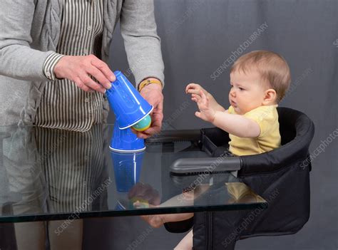 Object Permanence 1 Of 4 Stock Image C0363811 Science Photo Library