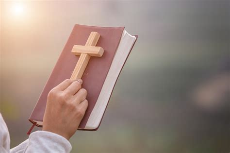 Foto De Menina Segurando A Bíblia E Segurando Uma Cruz Considerada Como