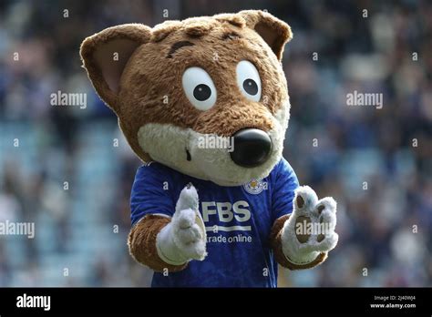Leicester City Mascot Hi Res Stock Photography And Images Alamy