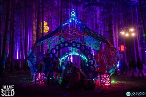Sights From The Forest 10 Photos Of Electric Forests Epic Art