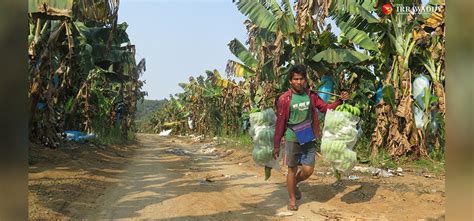 1.1 titles and property information online service (tpi) is provided by the government of the state of victoria, australia. ဗန်းမော်ခရိုင်ရှိ တစ်သျှူးငှက်ပျော စိုက်ပျိုးမြေများ ပြန ...