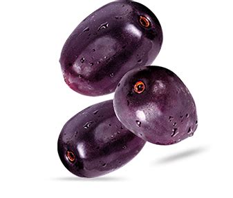 How to make gulab jamun with khoya/mawa. Jamun: Real Fruit Power Jamun