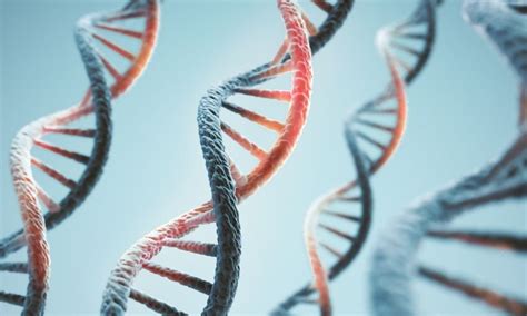 Weird But True Facts You Need To Know About Dna