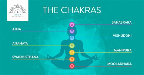 The Chakras NeΔΑ Yoga Shala