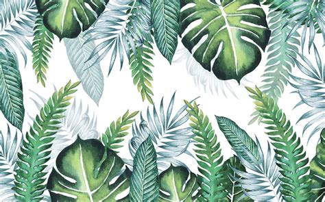 Tropical Palm Leaf Wallpapers Bigbeamng