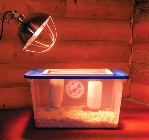 15 Easy Diy Chicken Brooder Plans You Can Make