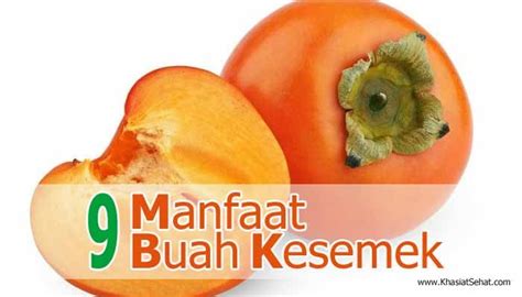 9 Manfaat Buah Kesemek Untuk Kesehatan Khasiat Sehat