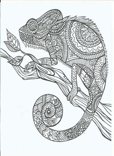 Free Printable Coloring Pages For Adults 12 More Designs