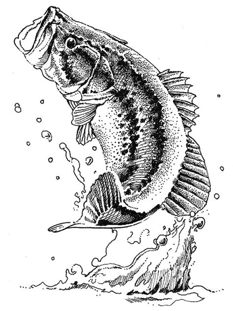 Jumping Fish Drawing At Explore Collection Of