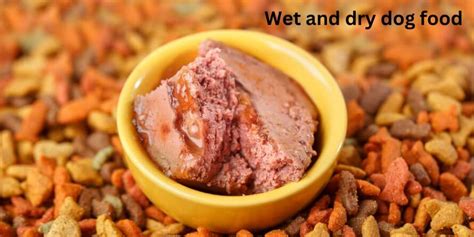 How To Make Dry Dog Food Step By Step Theoutdor