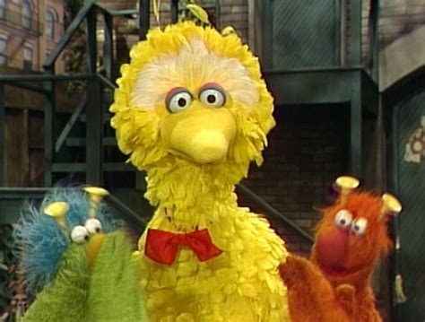 Image Big Bird And The Honkerspng Mikeyminizback Wiki Fandom