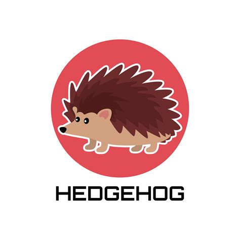 Hedgehog Logo Isolated On White Background 511564 Vector Art At Vecteezy
