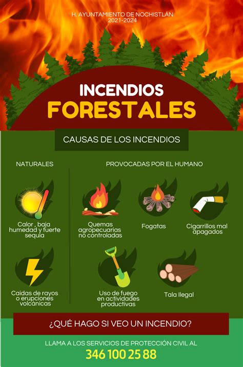 Evitemos Los Incendios Forestales Ayuntamiento De Nochistlán