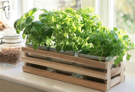 This starter kit has everything you need to grow your own. Herb Wooden Box & Metal Plant Pots Indoor Garden | Kitchen ...
