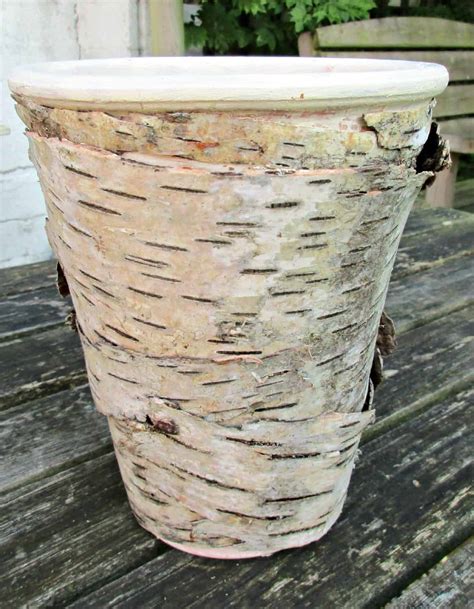 How To Make Birch Bark Covered Flowerpots Craft Invaders