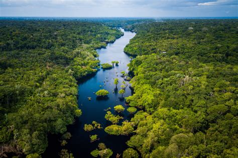La Amazonía tiene voz en el PND Centro de Pensamiento Amazonias