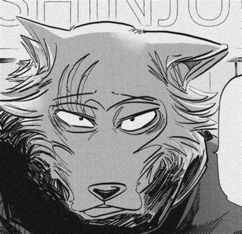 Pin De Mansecret En Beastars En 2021 Dibujo Furry Anime Perfiles