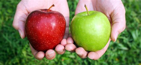 Urine And Oral Fluid Drug Testing Not An Apples To Apples Comparison