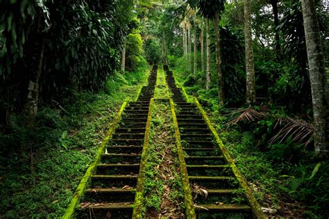Jungle Stairs, Indonesia