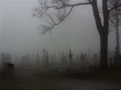 Spooky Fog Photograph By Gothicrow Images Pixels