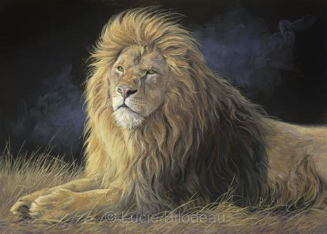 Pleasant Breeze An Oil Painting Of A Male African Lion By Lucie