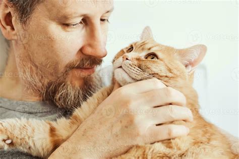 bearded man hugging and stroking ginger cat close up selective focus on cat s muzzle 23523134