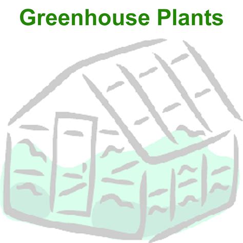 Greenhouse Plants Ebook Exploration World