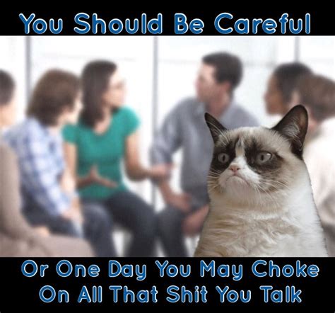 Grumpy Cat Says Dont Talk Shit Grumpy Kitty Grumpy Cat Humor Cat