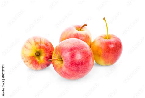 Gala Apples On White Background Stock Photo Adobe Stock