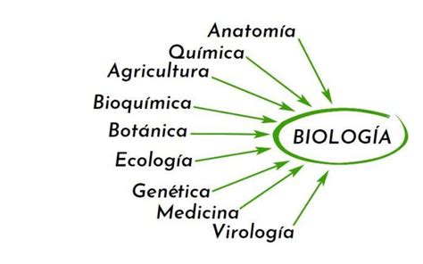 Ciencias Que Se Relacionan Con La Biología