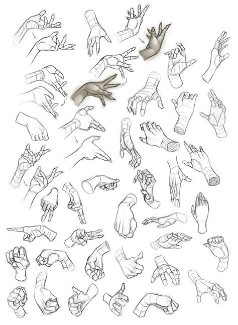 Hand Reference Drawing Sketch Drawing Skill