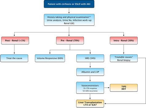 Acute Kidney Injury In Patients With Cirrhosis