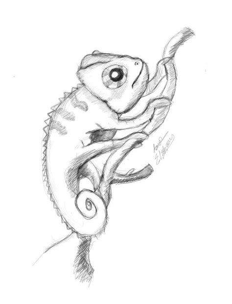 Chameleon Sketch By Hotamr On Deviantart Chameleon Art Animal