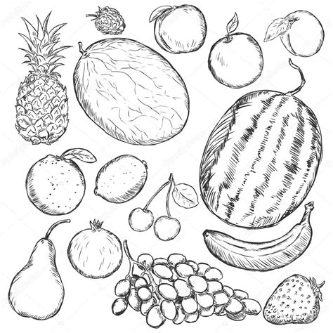 Vector Set Of Sketch Fruits — Stock Vector © Nikiteev 38576707