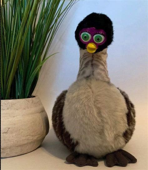 Oddbody Furby Goose By Oddbodyfurbz Instagram Furby Beautiful