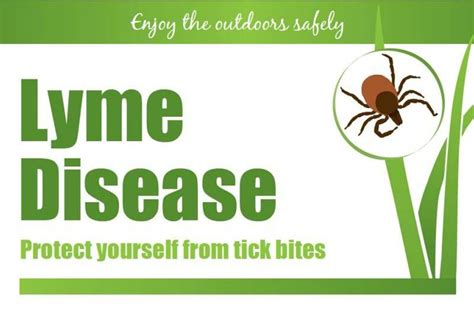 Lyme Disease Youtube Video Lyme Disease Youtube Video Igenex Test