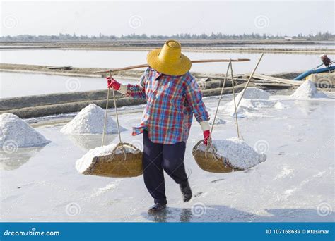 The Making Of Sea Salt In The Field Stock Image Image Of Labourer