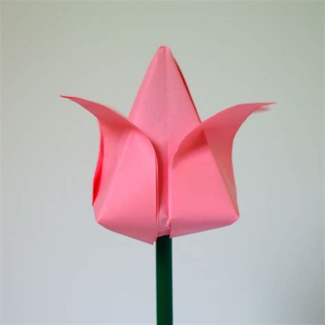 Tulip Flower Origami Origami Easy Paper Crafts Crafts