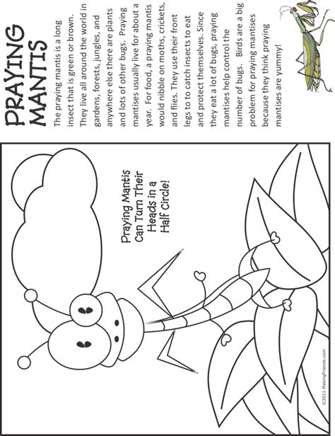 Here you can download all the coloring pages and print them for free. Bug Coloring Page | Praying Mantis ...