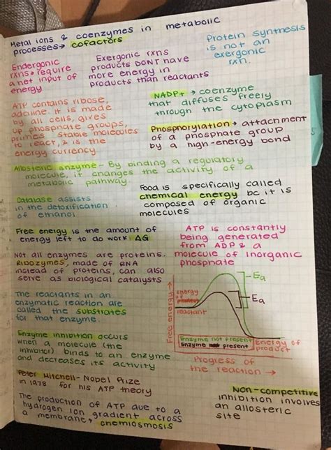 Notes From The 11th Grade Science Notes Biology Lessons Biology Notes