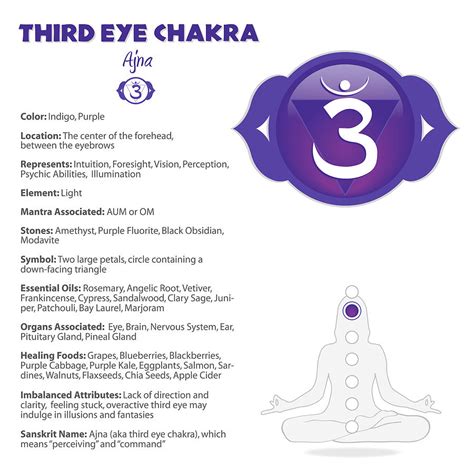Third Eye Chakra Chart Digital Art By Serena King Fine Art America