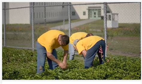 Maine State Prison Growing Food