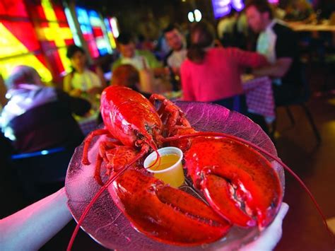 Top 10 Things To Do In Nova Scotia Nova Scotia Lobster Nova Scotia