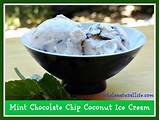 Dairy Free Mint Chocolate Chip Ice Cream Recipe Pictures